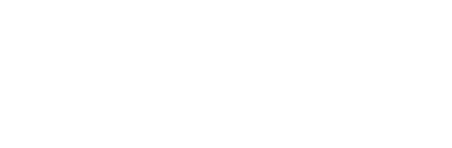 Horizontal wordmark — white — SSDBA brand asset